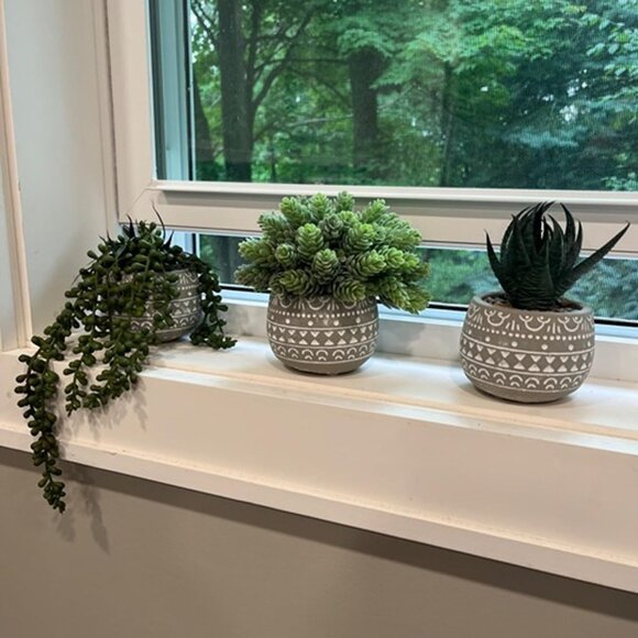 NEW 3 Pcs Assorted Small Potted Succulent Plants Artificial Aloe Hops String. - Picture 2 of 9